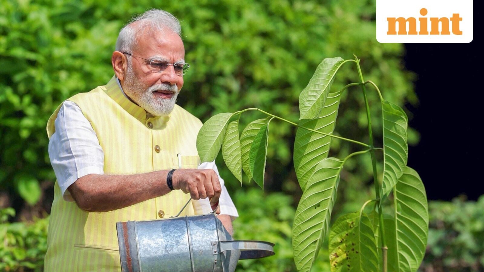 गुजरात में आज पीएम मोदी। उसके गृह राज्य में वृद्ध क्या है?