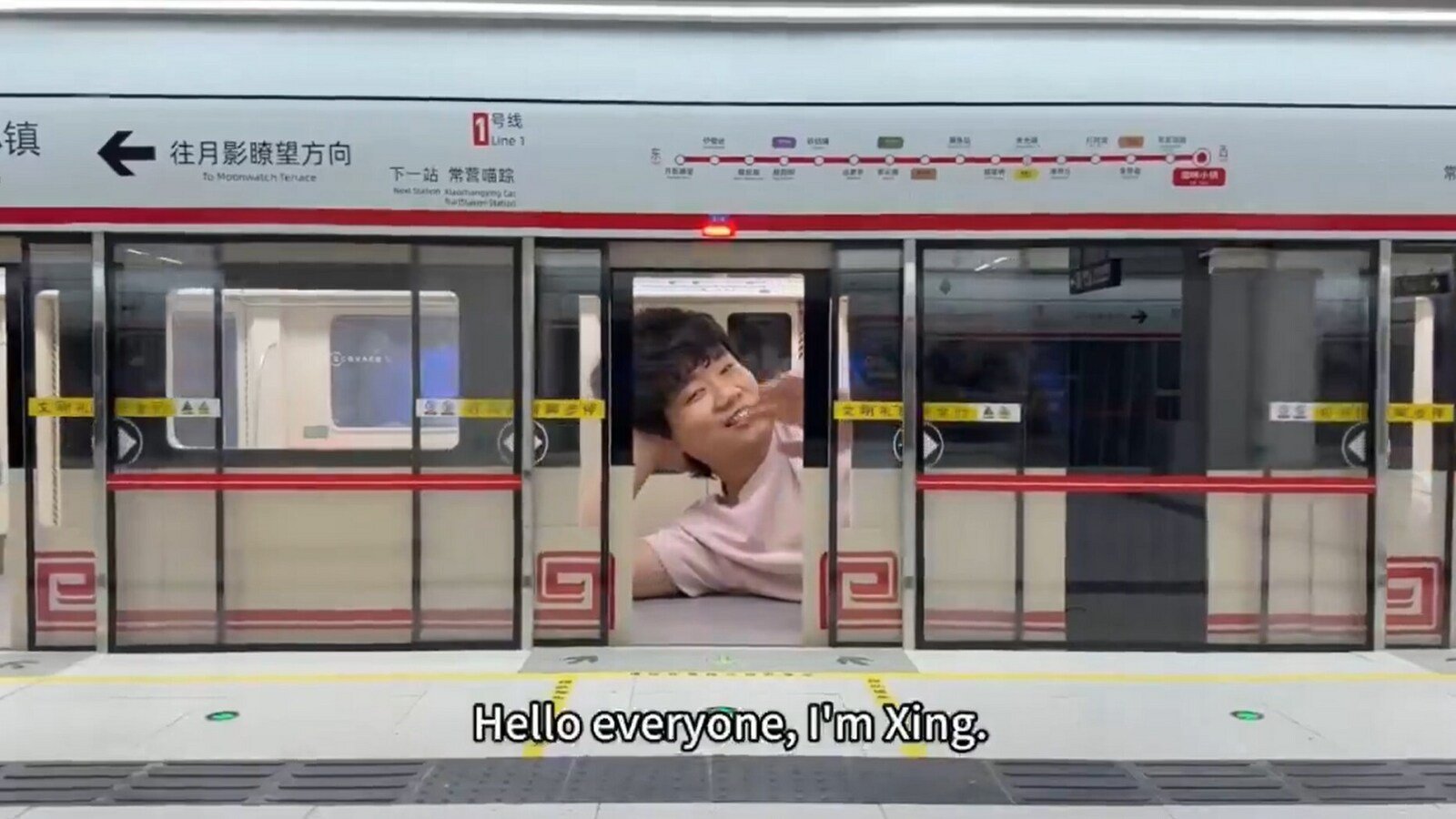 चीनी प्रभावित करने वाला अपनी बिल्लियों के लिए मिनी अंडरग्राउंड स्टेशन बनाता है, इंटरनेट प्रभावित है