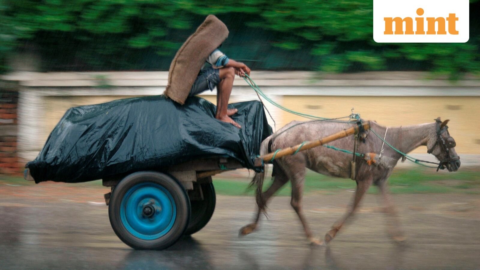 दक्षिण-पश्चिम मानसून वापसी में देरी हुई, अक्टूबर-डिकोम्बर: IMD में पोस्ट-मॉनसून में सामान्य बारिश की उम्मीद है