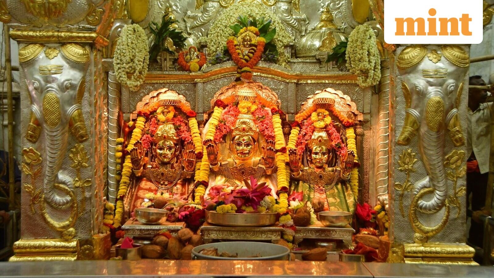 Navratri 2025: 10 healthiest fasting options as celebrations begin to worship Goddess Durga (Photo by Bhushan Koyande/HT Photo)