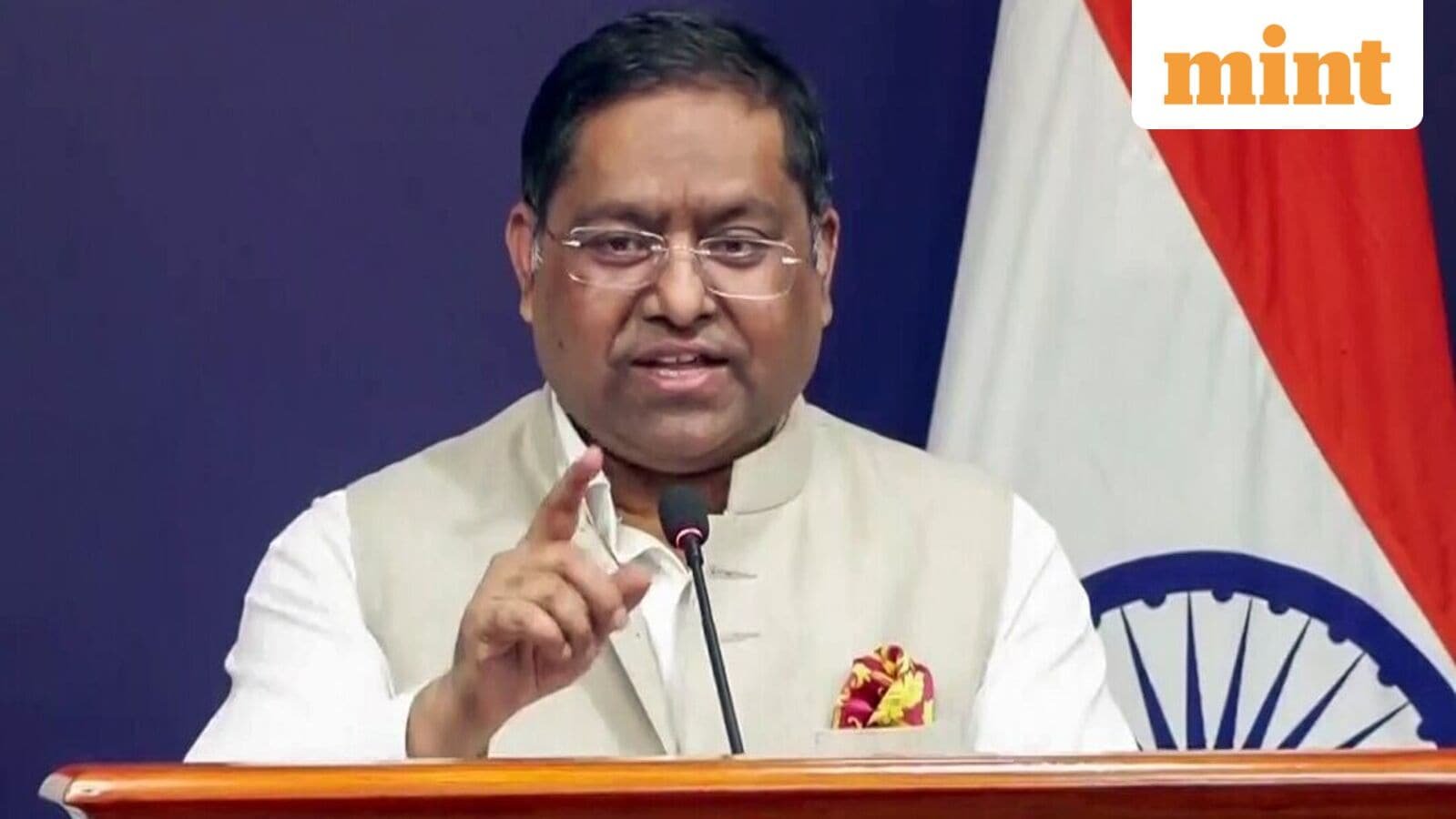 MEA spokesperson Randhir Jaiswal. (ANI Video Grab)