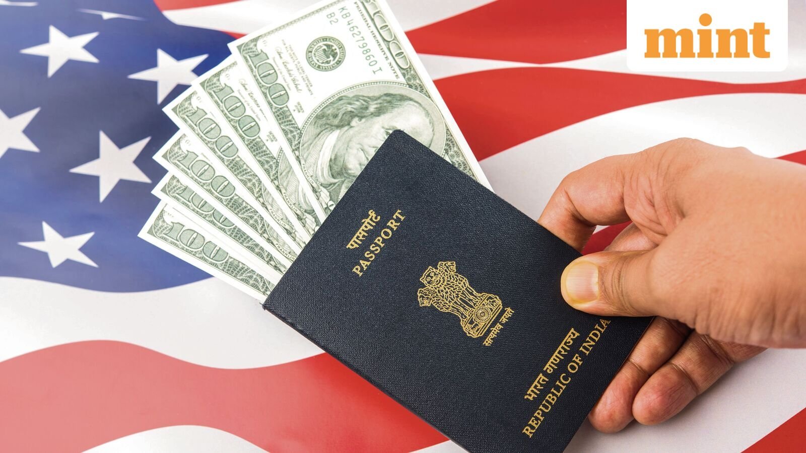 US states that have the most H-1B visa holders and companies that will be hit hardest by the sudden hike in visa fee.