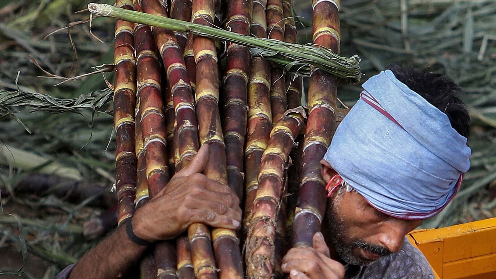 सुप्रीम कोर्ट ने 20% इथेनॉल-ब्लेंडेड पेट्रोल के खिलाफ याचिका को खारिज कर दिया, सेंटर का कहना है कि E20 ईंधन लाभ गन्ने के किसान