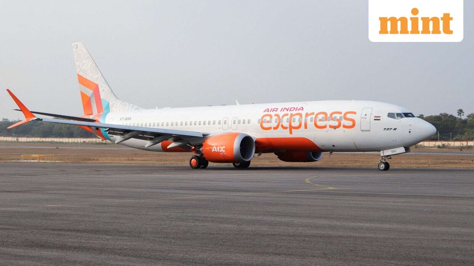 Air India Express flight bound for Hyderabad makes precautionary landing in Vizag after bird strike