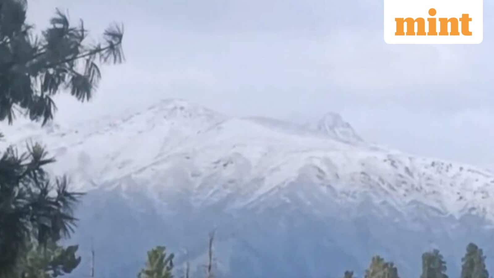 Video: Gulmarg in J&K receives season's first snowfall (Image: screengrab/PTI)